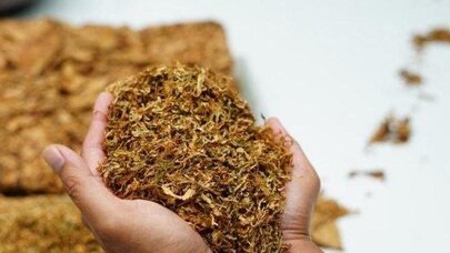 Azərbaycan 9 ayda 112 milyon dollara yaxın tütün idxal edib