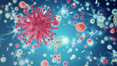 Bu ölümcül virus Azərbaycanda da yayıla bilər - Həkimdən SOS