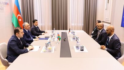 Kamran Əliyev Misir və Maldivin antikorrupsiya qurumlarının rəhbərləri ilə görüşdü - FOTO