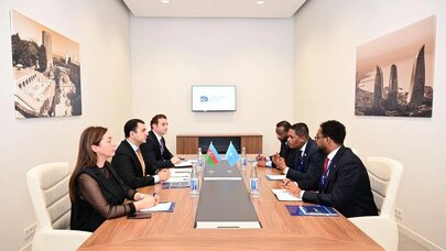 Azərbaycan ilə Somali arasında mədəniyyət sahəsində əməkdaşlıq müzakirə olundu - Foto