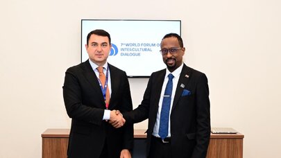 Adil Kərimli sudanlı həmkarı ilə görüşdü - Foto