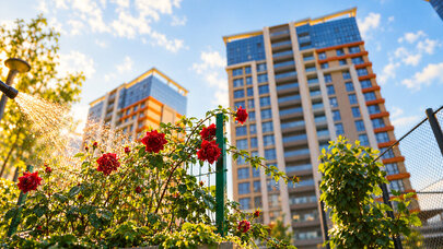 City Garden Narimanov-da təməldən mənzil satışları davam edir - FAİZSİZ KREDİT!