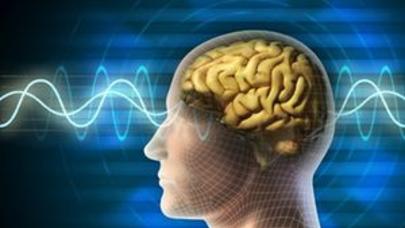 Superkompüter beynin 1 saniyəlik iş modelini hazırlayıb