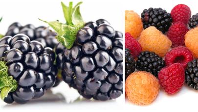 Bu bitki dəriyə parlaqlıq qazandırır