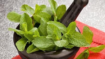 Cavanlaşdırıcı nanə maskaları