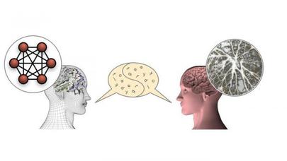 Alimlər süni beyin yaradıblar