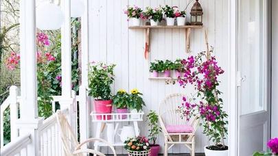 Balkonlara bahar gəldi – FOTOLAR