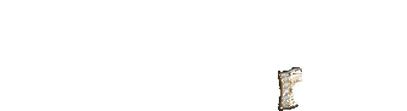 Şirniyyat formalı zinət əşyaları - FOTOLAR
