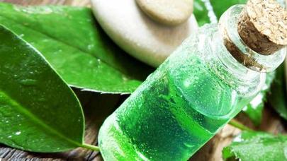 Yaşıl çay yağı ilə necə gözəlləşmək olar?