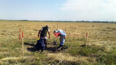 Füzulidə partlamamış top mərmiləri aşkarlanıb - FOTO