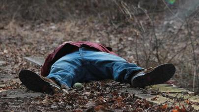 Göyçayda ağacdan yıxılan kişinin qarnına dəmir vedrə girdi