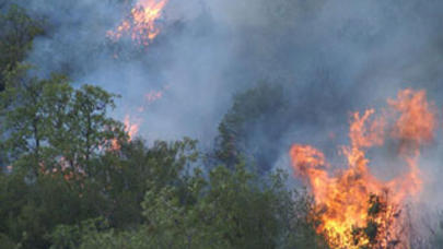 “Şirvan Dövlət Qoruğu”nda yanğın baş verib