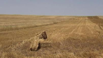 Cəlilabadda faciə: Telefonla danışarkən ildırım vurdu - FOTO/VİDEO