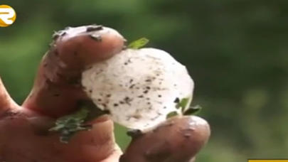 Leysan və dolu Gədəbəyə ciddi ziyan vurdu - FOTOLAR/VİDEO