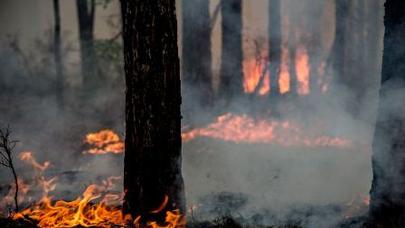 Ceyranbatanın ətrafı yanır