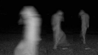 Ağdaş QORXU İÇİNDƏ: həyətlərdə qəribə məxluqlar dolaşır