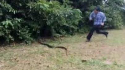 Nəhəng ilanı qovaraq tutdu – ŞOK VİDEO