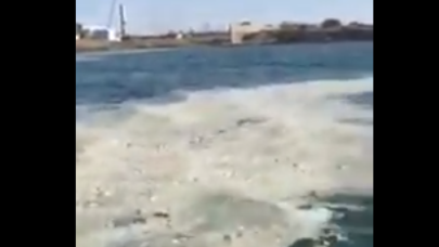 Dənizdəki ağ köpüklər nədir? – Xəzərdəki hadisə ilə bağlı RƏSMİ AÇIQLAMA