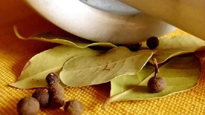 Tarakan, qarışqa, milçək, ağcaqanad... Onları qovmağın ən sadə üsulu