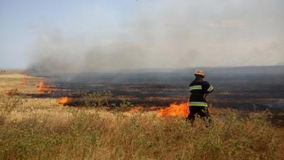Şabran od içində: qəbirstanlıqda başlayan yanğın digər ərazilərə keçib - FOTOLAR