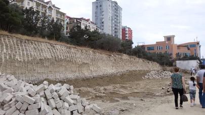 Paytaxtda növbəti “ağac qətliamı”: Obyekt, yoxsa dayanacaq? – FOTOLAR