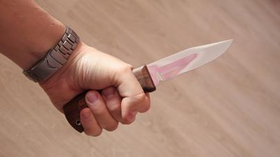 Qardaş bacısını bıçaqlayıb öldürdü - SABİRABADDA DƏHŞƏT