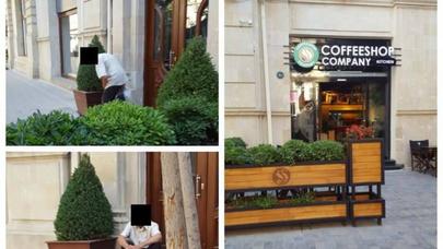 Bakıda BİABIRÇILIQ: itin belə əyləşdiyi kafedən ağsaqqal kişini qovdular - FOTO