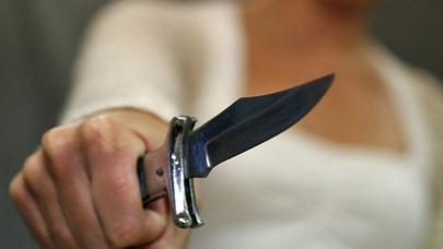 Şəmkirdə toyda kütləvi dava