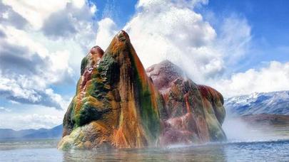 Fermer dünyanı şoka saldı - FOTOLAR