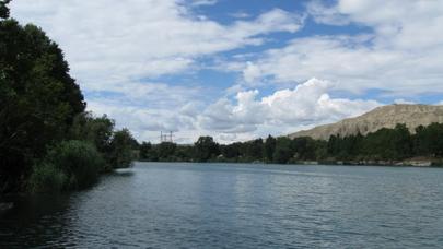 Özünü öldürməsinə FHN əngəl oldu