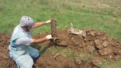 Ağcabədidə partlamamış hərbi sursatlar aşkar edilib - FOTO