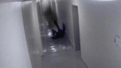 Naməlum məxluq Bakıdakı məktəbdə PEYDA OLDU - VİDEO