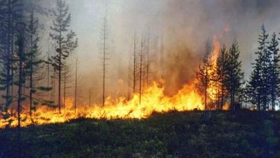 Zaqatalada qoruqda yanğın baş verib