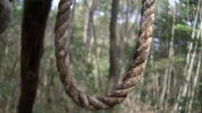 25 yaşlı gənc özünü nar ağacından asdı - QAXDA