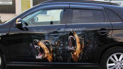 Maşın üzərində yaradılan SƏNƏT ƏSƏRLƏRİ – FOTOLAR