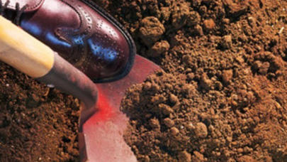 Bakıda DƏHŞƏT: arvadını öldürüb həyətdə basdırdı