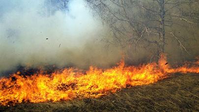 Ağsu və Şamaxı meşələrində YANĞIN