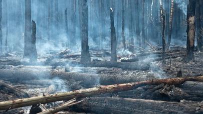 Xızıda yanğın söndürülüb
