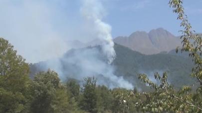 Oğuzda meşələrdə yanğın baş verib