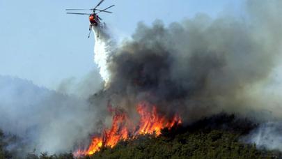 Meşədə yanğının söndürülməsinə FHN-in helikopterləri cəlb edilib