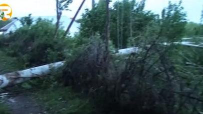 Tovuzda güclü külək fəsadlar yaradıb