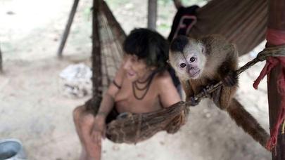 Heyvan əmizdirən qadınlar dünyanı heyrətə gətirir - FOTOLAR