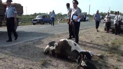 Salyandakı dəhşətli qəzanın görüntüləri YAYILDI: 10 nəfər... - VIDEO (YENİLƏNİB)