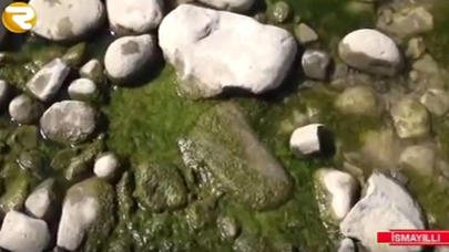 Girdiman çayındakı zəhər 15 nəfəri xəstəxanalıq etdi – Əhali qorxu içində VİDEO/FOTO